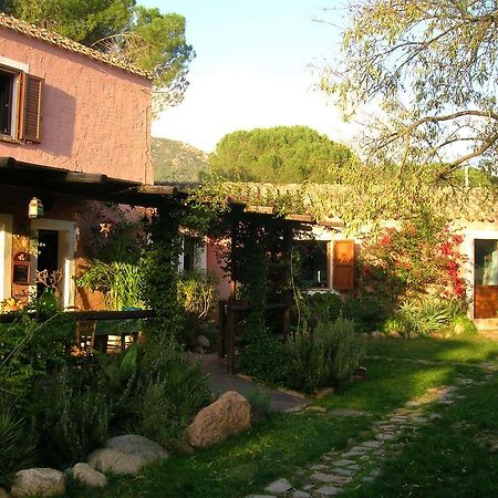 La Fattoria Delle Tartarughe Villa San Gregorio  Exterior photo