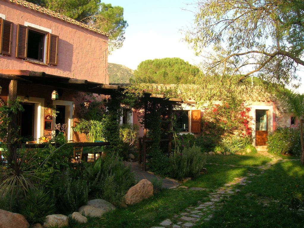 La Fattoria Delle Tartarughe Villa San Gregorio  Exterior photo