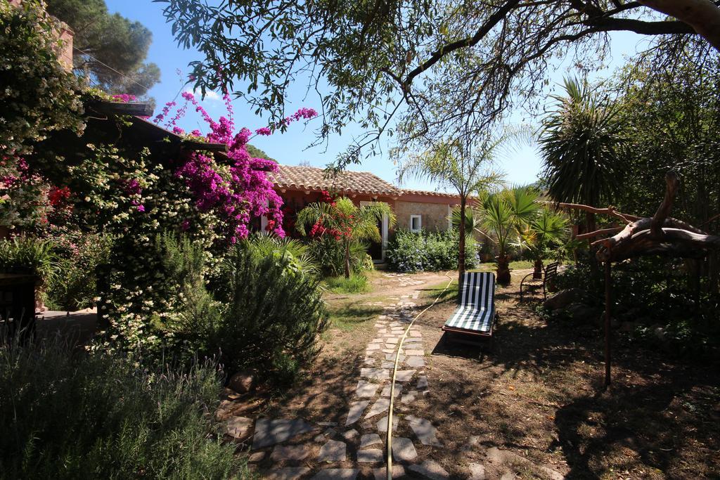 La Fattoria Delle Tartarughe Villa San Gregorio  Exterior photo
