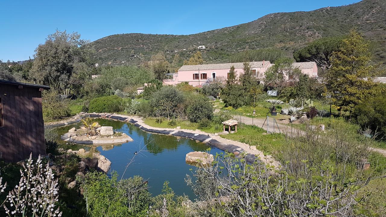 La Fattoria Delle Tartarughe Villa San Gregorio  Exterior photo